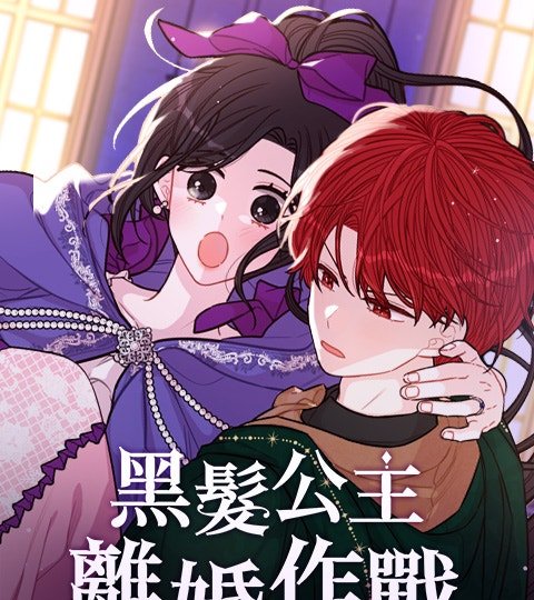 黑髮公主離婚作戰封面